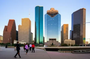 Professional Senior Business Advisor services in Houston, TX