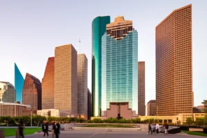 Professional Strategic Business Advisor services in Houston, TX